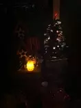 decorations/lightsatnight.jpg