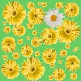 oneofakind/oneofakindbackground.jpg