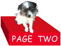 personalpage2/ringopage2.gif