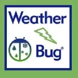 weather/bug.jpg
