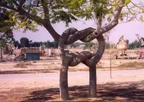 rm/imagenes3.jpg