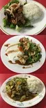Rice_Plate_files/3_rice_plates.jpg