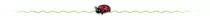 tools/img/hr-ladybug.gif