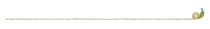 tools/img/hr-snail.png