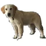 nala3.png