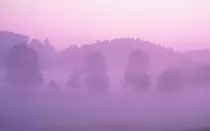 OS-X-Mountain-Lion-Misty-Pink-Forest.jpg