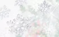 merry.jpg