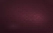 maroonBG.jpg