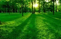 paisaje-verde.jpg