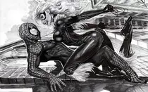 Mod 2/img/spider-man_blackcat.jpg