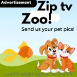 images/Advert.png