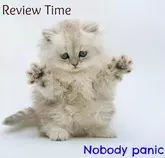 review-time.jpg