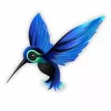 hummingbird2.jpg