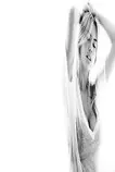 Img/woman2.jpg