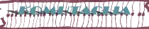 kartinki/Sapka-usanka.png