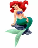 images/Ariel.jpg