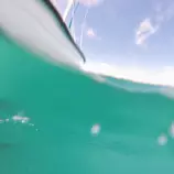 images/austriaboat.jpg