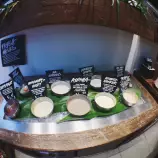 images/lush.jpg