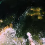 images/riverstomp.jpg