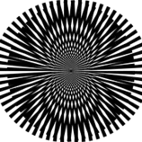 mod2/practica_obligatoria/img/moire_lines.png