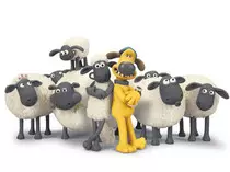img/shaun4.jpg