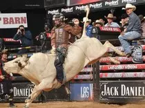 bull-riding-action.jpg