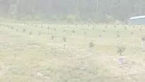 finaltint.jpg