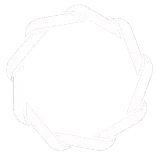 images/polygon.png