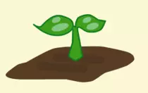 images/plant.png