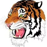 tigre.jpg