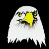 Eagle-icon.image2.png