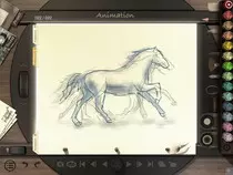 horse.jpeg