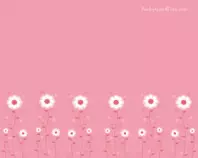 images/floral2.jpg