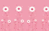 images/floral3.jpg
