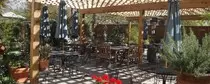 images/garden.jpg