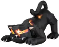 Halloween/images/cat.jpg