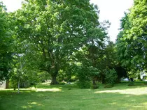 Resort & Spa/images/glade.jpg
