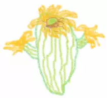 crayoncactus.png