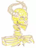 crayonsnakes.png