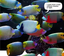 dream/01.png