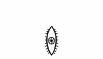endo-2.gif