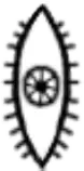 endo-scope-2.gif