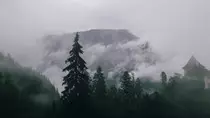 bg.jpg