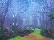 Images/MagicForest.jpg