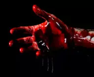 Images/bloodyhand.jpg