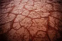 Images/crackedland.jpg