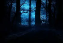 Images/midnightfor.jpg