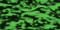 trip2.png