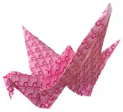 oragami.jpg