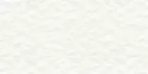 whitep.gif